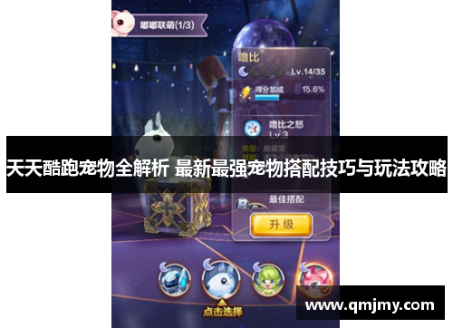 天天酷跑宠物全解析 最新最强宠物搭配技巧与玩法攻略 天天酷跑宠物全解析 最新最强宠物搭配技巧与玩法攻略